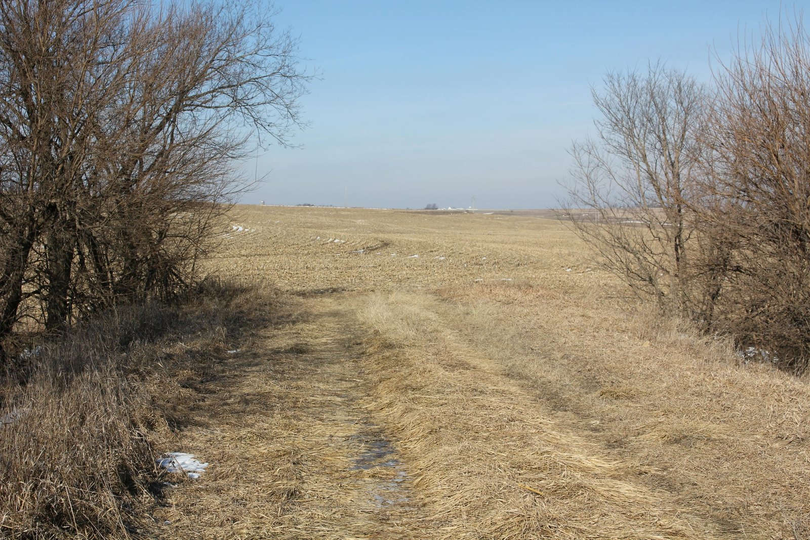 Looking west